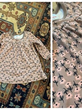 Hanna Andersson brown Pink Floral Long-Sleeve cotton Dress 80 12-18m